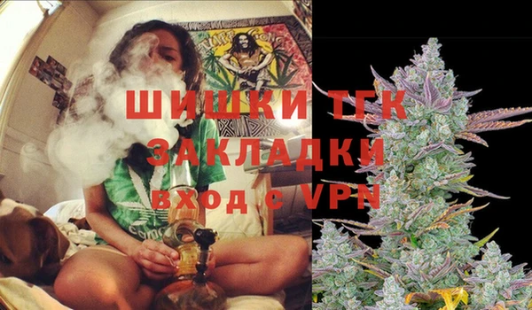 СК Алзамай