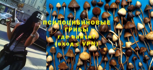 мяу мяу мука Алексин