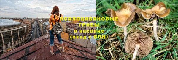 СК Алзамай