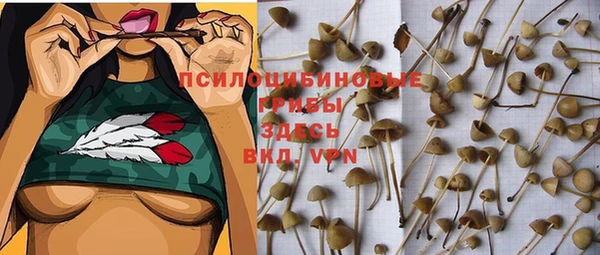 СК Алзамай