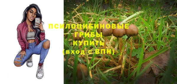 амф Алексеевка