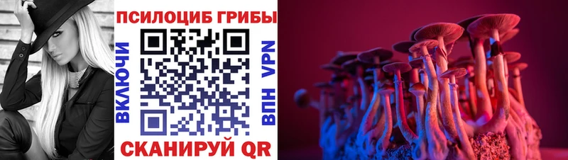 дарк нет телеграм  Талдом  Псилоцибиновые грибы Magic Shrooms 